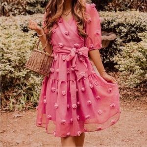 Ivy City first love pom pom blush pink fit and flare dress